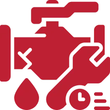 Emergency Toilet Repairs Icon