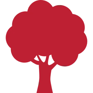 Tree Root Intrusion Removal Icon